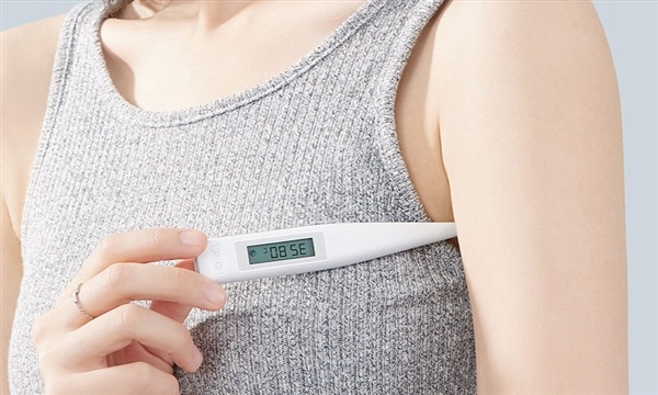 Mijia electronic thermometer