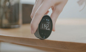 Small Q Electronic Ruler