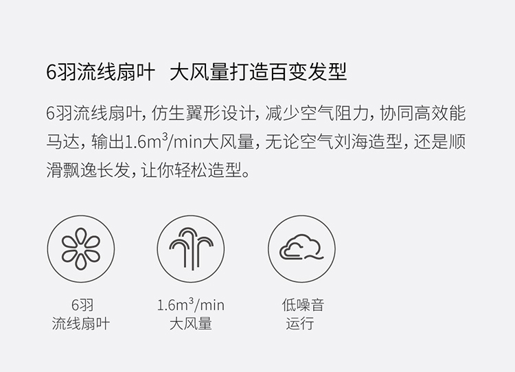 Zhidian salon-grade anion hair dryer