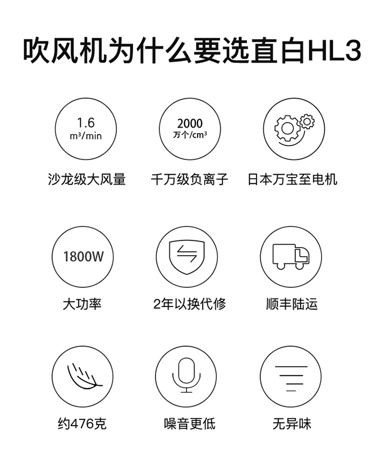 Zhidian salon-grade anion hair dryer