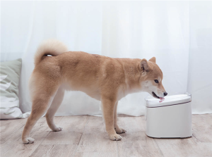 Xiaomi Mall pet water dispenser