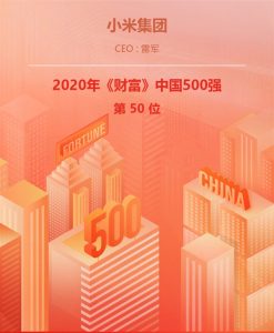Xiaomi Fortune Global 500