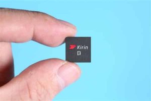 Kirin 9010